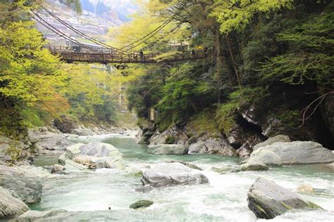 祖屋|祖谷のかずら橋 